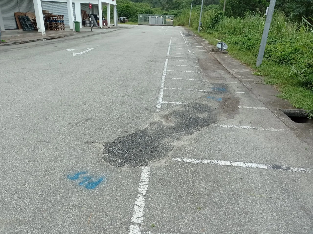 UMAP Activity - umap (37)